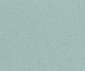 Pennyroyal mint 8652