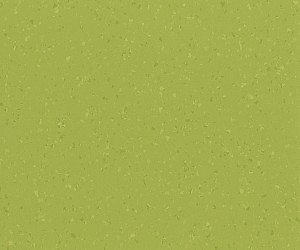 Sunshine meadow 8617