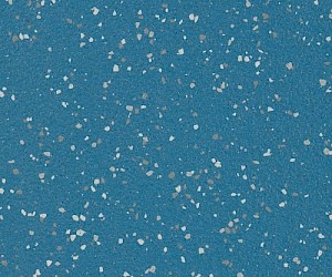 AQI2002 Blue Penquin