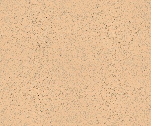 CX2016N Spring Beige