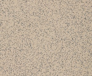 K30215 Oyster