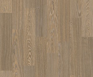 AFW280015 Bur Oak