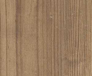 SB5W2535 Dry Cedar