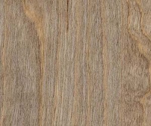 SF3W2516 Bleached Elm