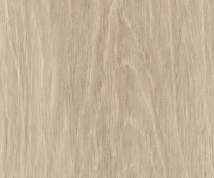 FS7W6120 Foreshore Oak