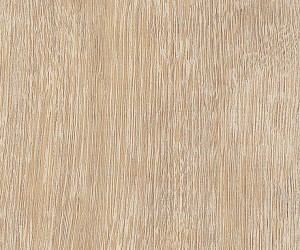 FS7W8590 Cowrie Oak