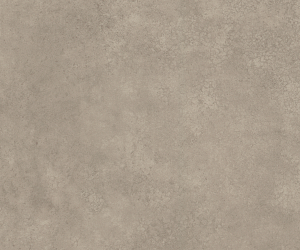 AM5S3070 Plaza Concrete