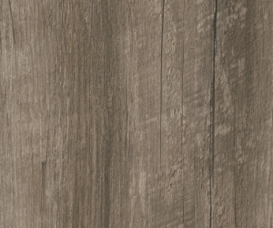 AM5W3029 Coastal Pine