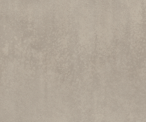 SS5A2617 Metropolis Ice