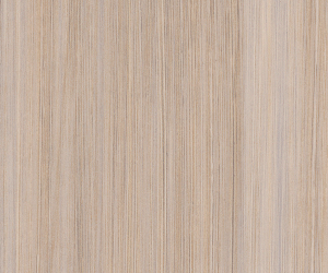 SS5A6110 Mirus Cotton