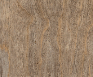 SS5W2516 Bleached Elm
