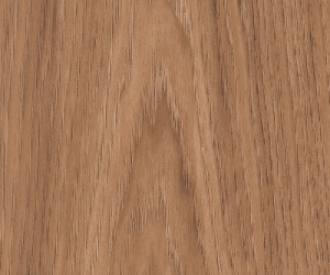 SS5W2545 Smoothbark Hickory