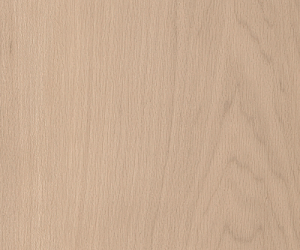 SS5W2654 White Maple