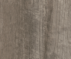 SS5W3029 Coastal Pine