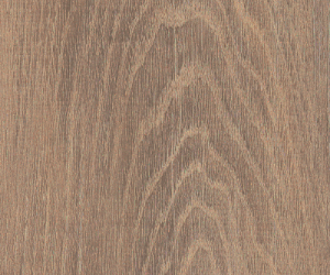 SS5W3314 Granary Oak