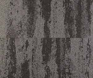 Expression 6415145