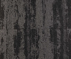 Expression 6415550