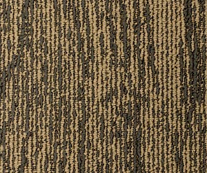 Oak 59425