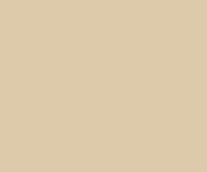 Caramel blush 9944