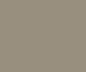 Clay deep 9946
