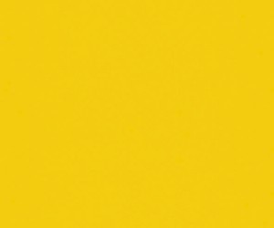 Lemon punch 9947