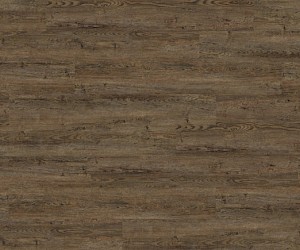 Huckleberry oak 9882