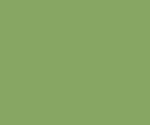 Basicwall Glossy RAL 1306050