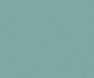 Basicwall Glossy RAL 1907025