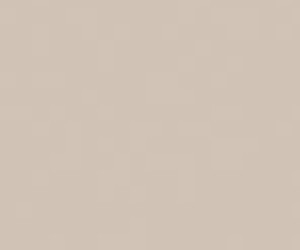 Basicwall Glossy RAL 0508010