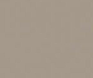 Basicwall Glossy RAL 0607010