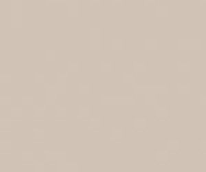 Basicwall Glossy RAL 0508010