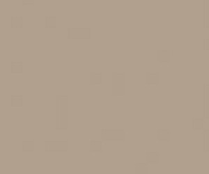 Basicwall Matt RAL 0607020