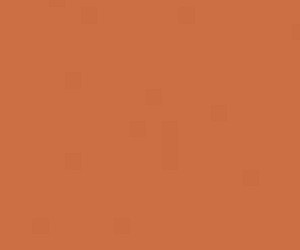 Basicwall Matt RAL 0506080