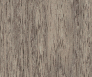AR0W8180 Shore Oak