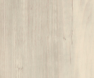 AR0W8240 Solar Pine