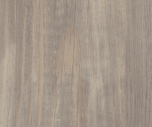 AR0W8250 Halo Pine