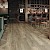 AR0W8760 Tollymore Oak