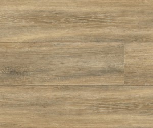 AR0W8710 Darley Oak