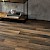 AR0W8900 Tay Oak