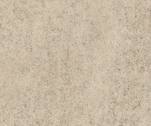 AR0SBS Basilica Salt