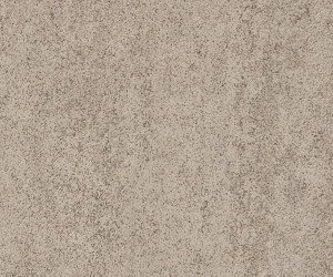 AR0SBS41 Basilica Shell