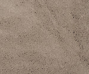 Almyra 61922 Gobi Desert