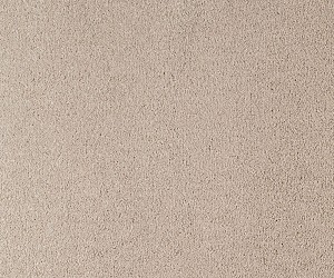 Belflor SDN Luxe 65720