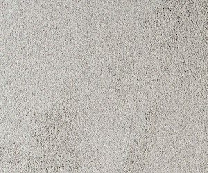 Belflor SDN Luxe 65741