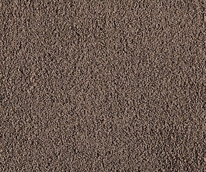 Matera Primo Creamy Mushroom 65530