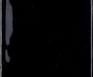 Century Black Brillo