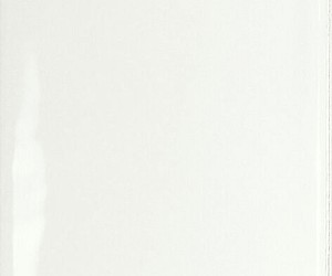 Century White Brillo