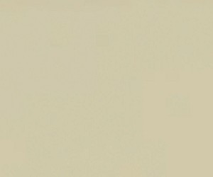 Plaqueta Coco brillo 10x30cm