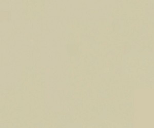 Plaqueta Coco mate 10x30cm