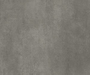 Raw Concrete Dark Grey